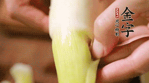 茭白剝?nèi)ネ鈿?，先切片再切絲。