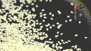 生芝麻炒至出香味，呈現(xiàn)略微金黃色。（不用加油，小火慢慢地煸炒，用手捻一下就能捻碎就說明炒熟了。）