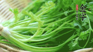 挑選鮮嫩的香菜，洗干凈后，處理成小段。