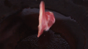 鍋中倒入橄欖油燒熱，放入淡火腿小火煸炒至打卷狀態(tài)。