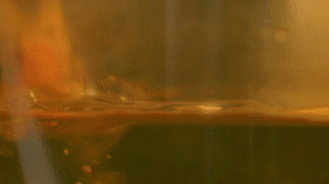 雞肉、鹽、料酒入冷水鍋水開后撇去浮沫，溫水洗凈。