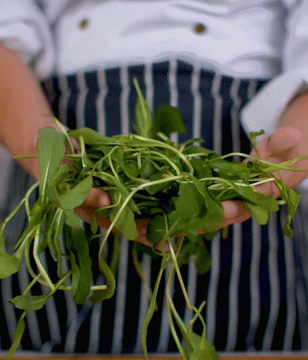 馬蘭頭焯水，切成細末。